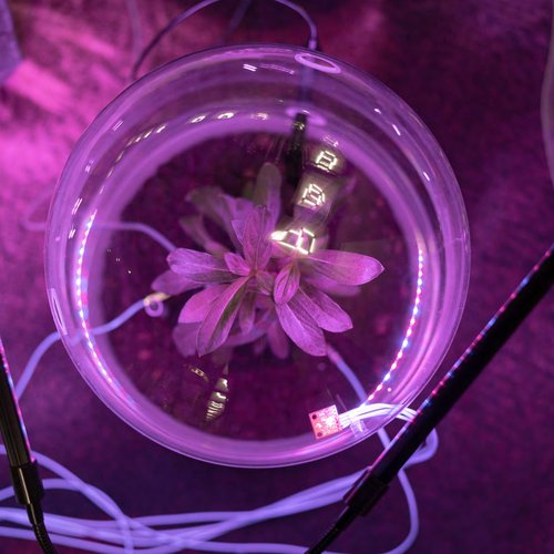 Xenodesign – Towards Transversal Engagement in Design