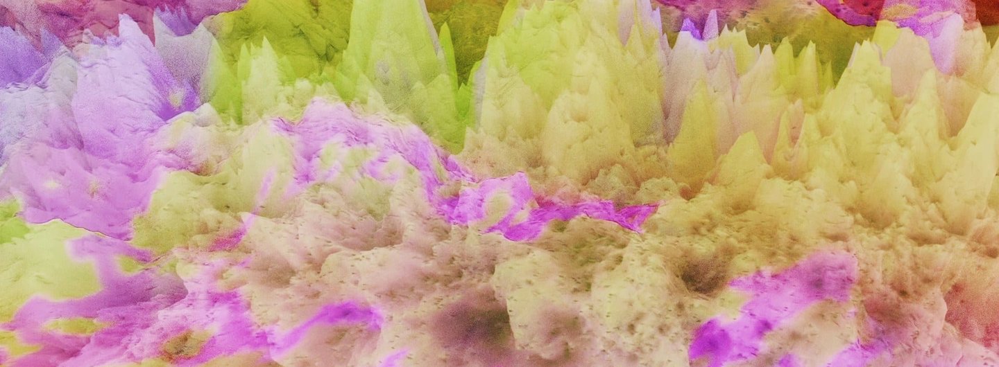 Modes of Symbiosis, Salar de Llamara