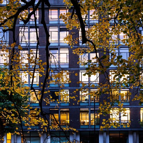 Darwin Building, Kensington