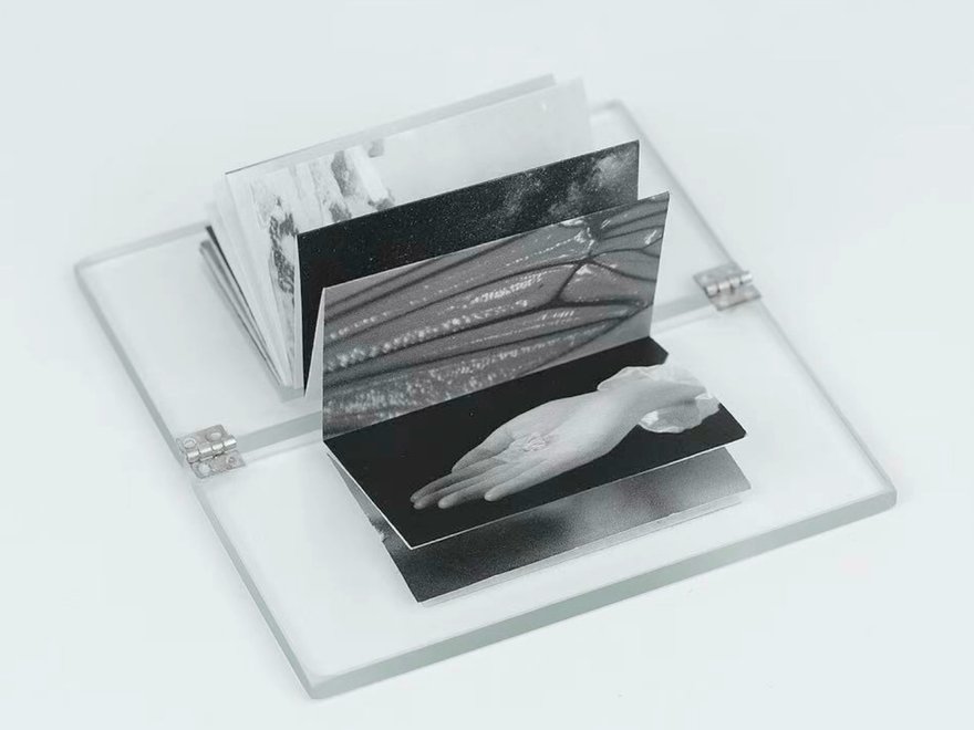 A white background with a glass box in the centre