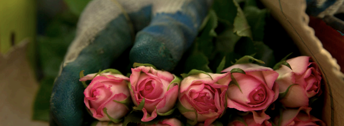 Francesca Foster Moseley Floricultural