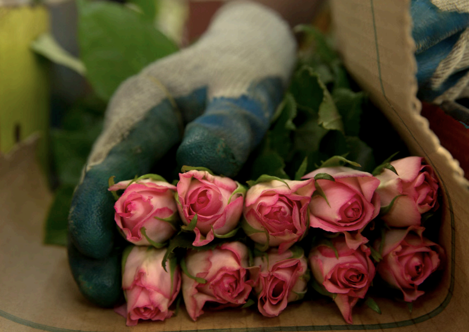 Francesca Foster Moseley Floricultural