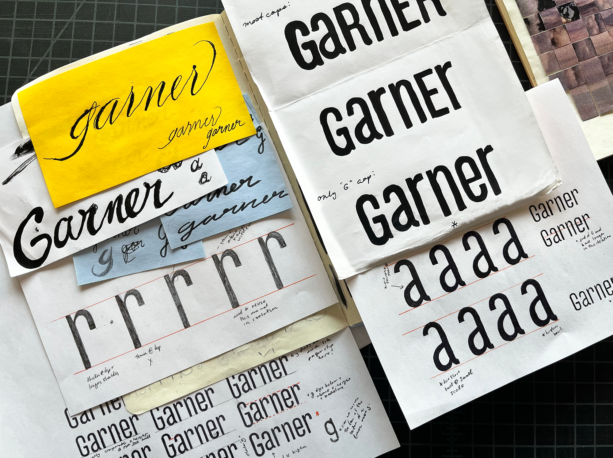 SGuergis-IDEO-Garner